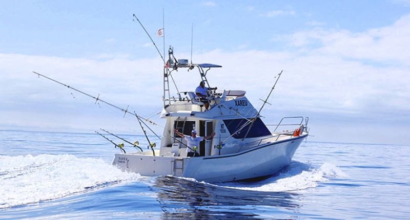 Big game fishing charters in Madeira